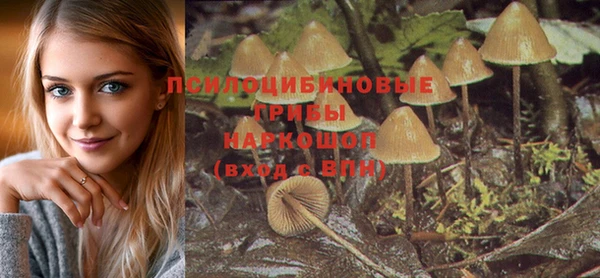 PSILOCYBIN Бронницы